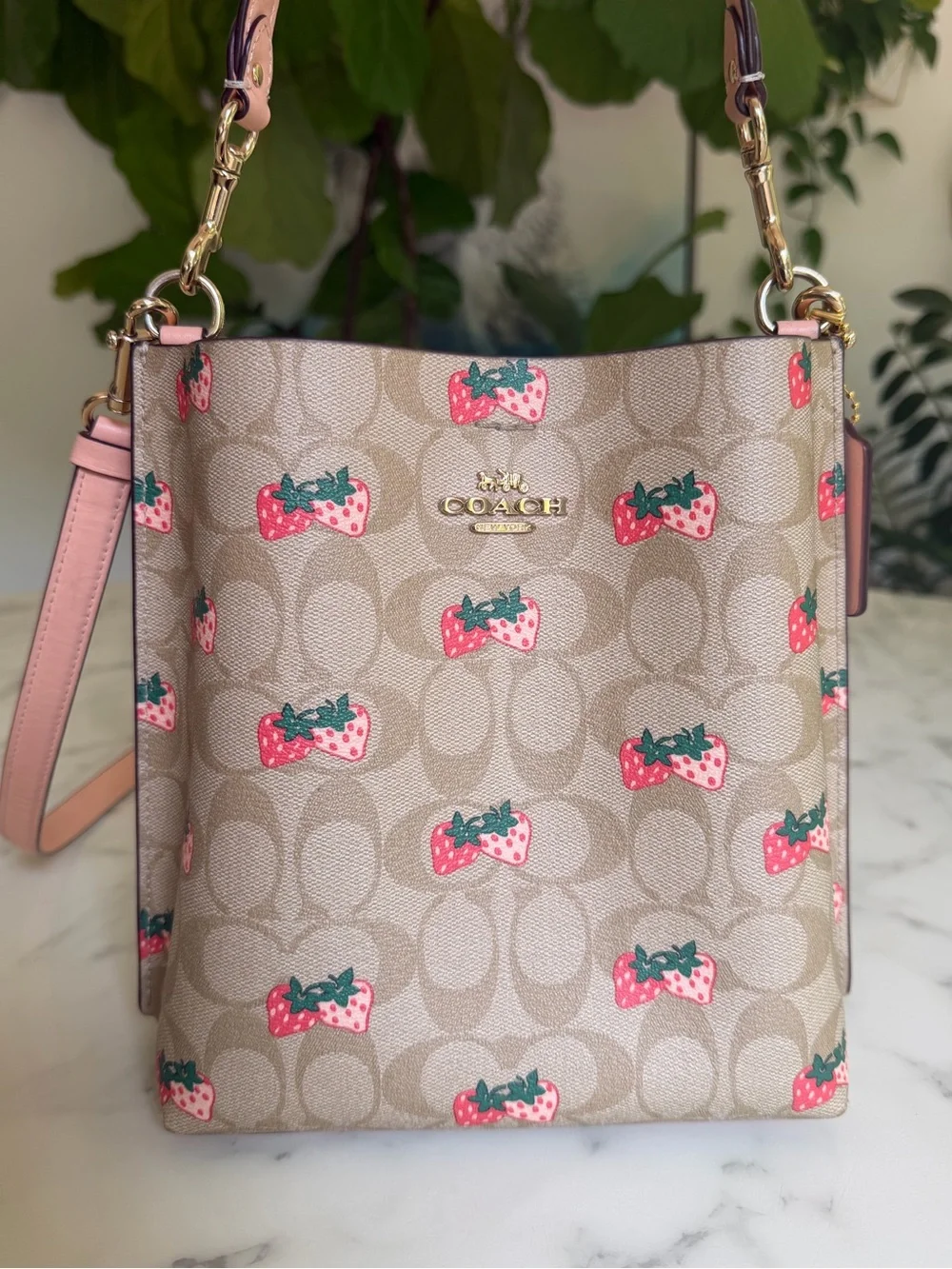 Coach Mollie Bucket Bag 22 In Signature Canvas With Strawberry Print CB602